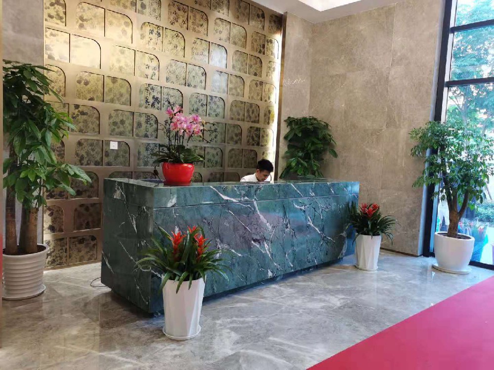 上海莘庄保华房产开发公司绿植租摆案例展示